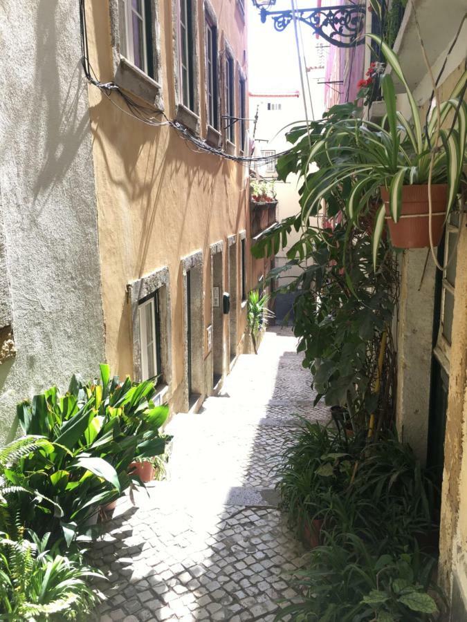 Casa Da Saudade, A Cozy Apartment In Alfama Lisbon Bagian luar foto